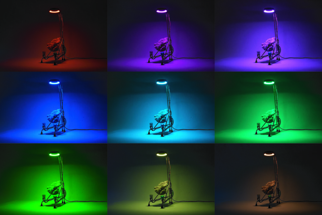HYPERSURFACE_VIBE TUNER_03